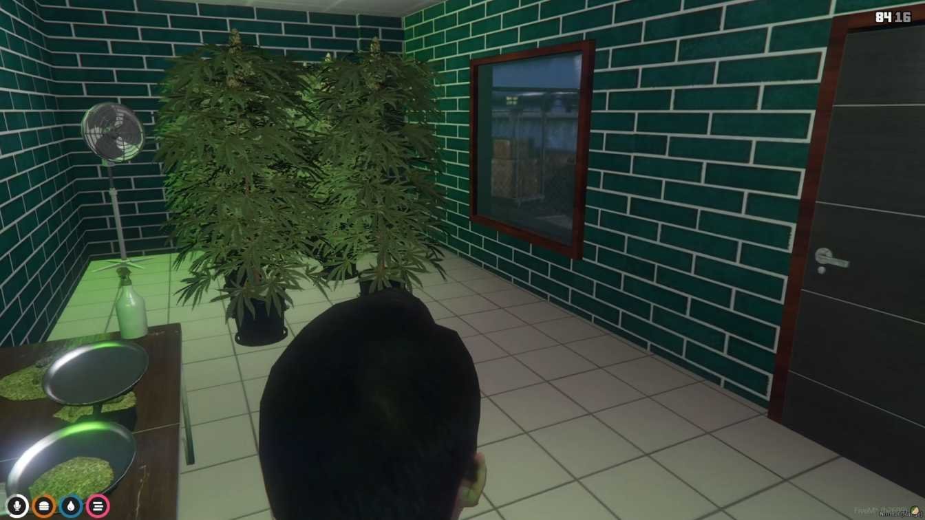 FiveM Weedshop Paleto MLO - Image 4